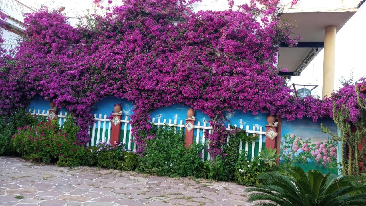 Villa Casa Con Jardin Frente Playa De Burriana Extérieur photo